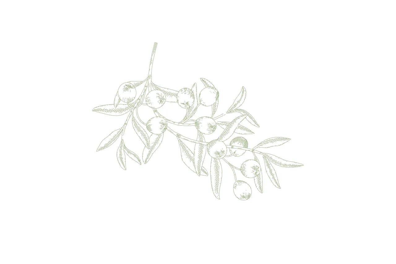 Jakie przyprawy do sałatki greckiej? Odkryj sekrety smaku tej potrawy Jakie przyprawy do sałatki greckiej? Odkryj sekrety smaku tej potrawy